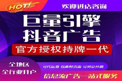 百度推广优化策略：成功案例解析